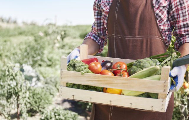 Close up on man selling crops from his garden