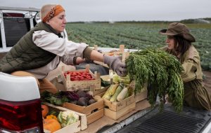 resilient agricultural supply chain